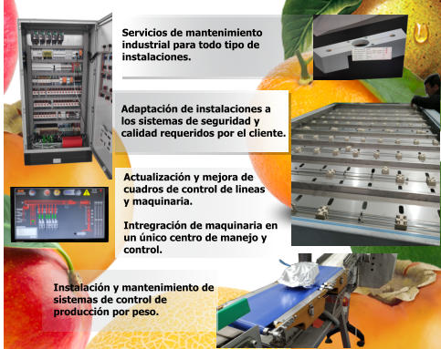 Servicios de mantenimiento  industrial para todo tipo de instalaciones.    Adaptación de instalaciones a  los sistemas de seguridad y  calidad requeridos por el cliente.    Instalación y mantenimiento de  sistemas de control de  producción por peso.    Actualización y mejora de  cuadros de control de lineas  y maquinaria.  Intregración de maquinaria en  un único centro de manejo y  control.