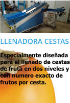 LLENADORA CESTAS Especialmente diseñada para el llenado de cestas de fruta en dos niveles y con numero exacto de frutos por cesta.