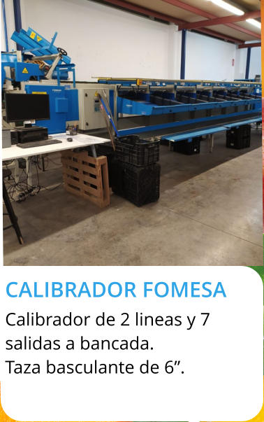 CALIBRADOR FOMESA  Calibrador de 2 lineas y 7  salidas a bancada. Taza basculante de 6”.