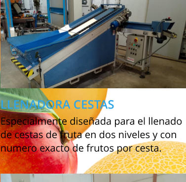 LLENADORA CESTAS Especialmente diseñada para el llenado de cestas de fruta en dos niveles y con numero exacto de frutos por cesta.