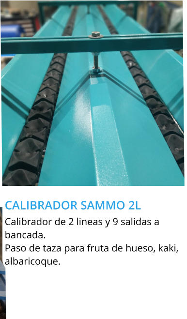 CALIBRADOR SAMMO 2L  Calibrador de 2 lineas y 9 salidas a bancada. Paso de taza para fruta de hueso, kaki, albaricoque.