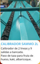 CALIBRADOR SAMMO 2L  Calibrador de 2 lineas y 9  salidas a bancada. Paso de taza para fruta de  hueso, kaki, albaricoque.