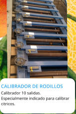 CALIBRADOR DE RODILLOS  Calibrador 10 salidas. Especialmente indicado para calibrar citricos.